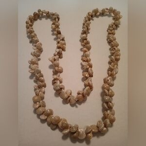#606.  Genuine Shell Beaded Single Strand Necklace. 17" Long